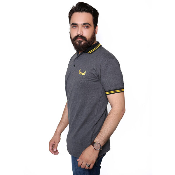 Charcoal Polo Tshirts for Men C02