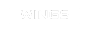 Wings Mens Clothing Brand white min