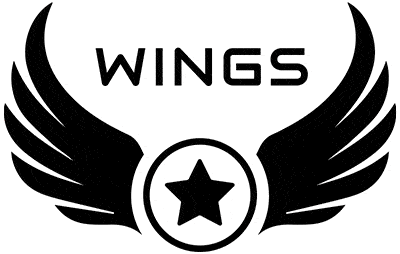 Wings - Mens Clothing Brand in Pakistan logo gif animation min