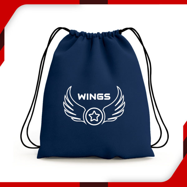 Carry Lite Bag Blue Embroidery